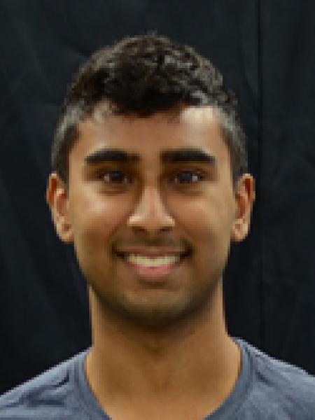 Sumeet Sarkar